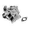 EGR szelep RENAULT MEGANE III 1.9DCI 2008-, 8200762517