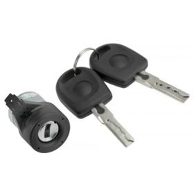   Zárhenger, gyújtáskapcsoló zár VW BORA 1998-,GOLF IV 1998-,NEW BEETLE 1998-,PASSAT B5 1996-,B5 FL 2000-,POLO 2001-/ W KOMPLECIE/